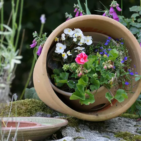 La Belle Ame Saint-Priest-des-Champs