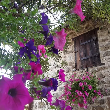 La Belle Ame Bed & Breakfast