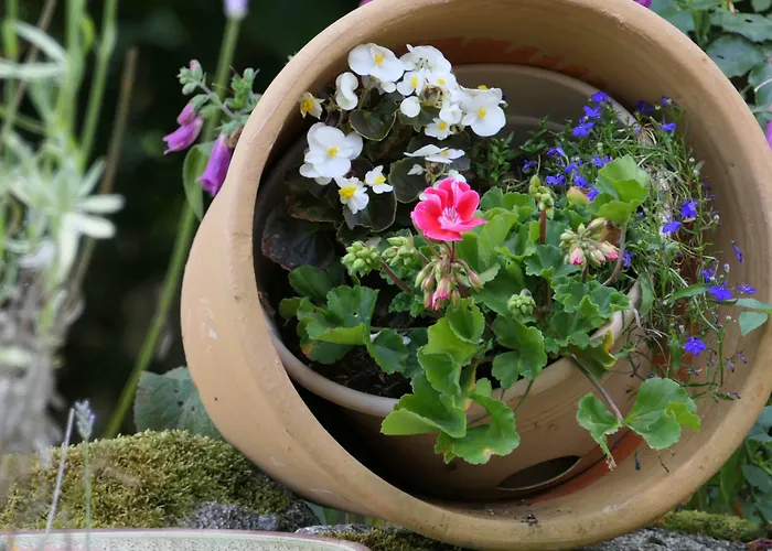 La Belle Ame Saint-Priest-des-Champs