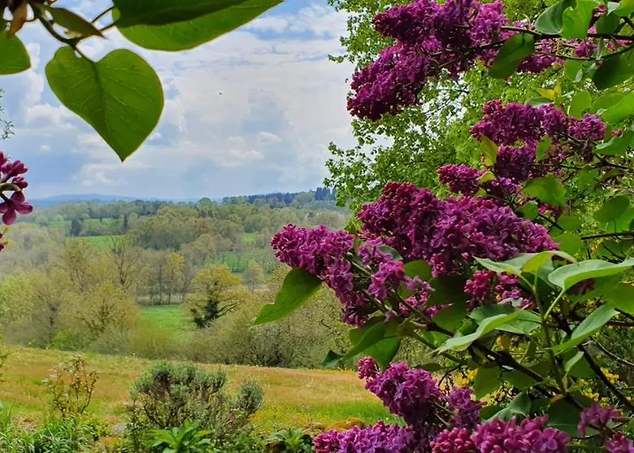 Bed & Breakfast La Belle Ame